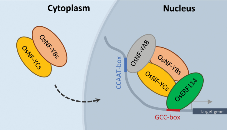 Fig. 11.