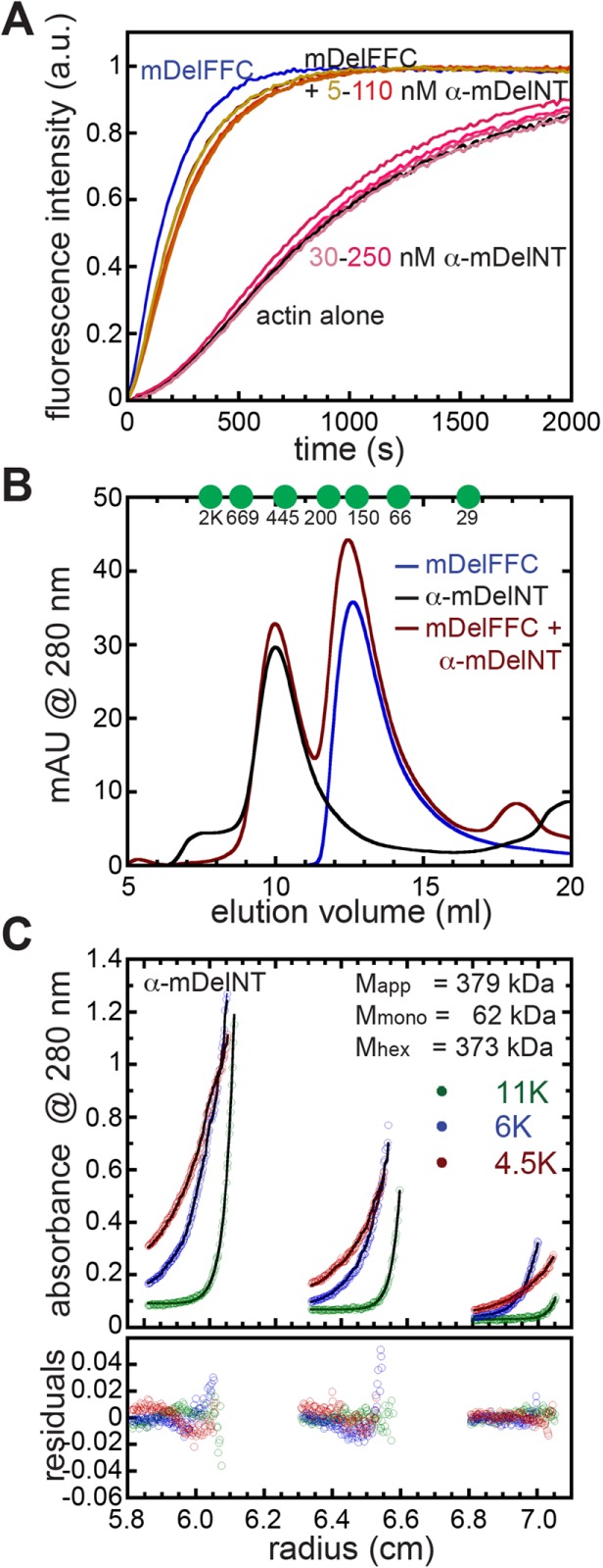 FIGURE 6: