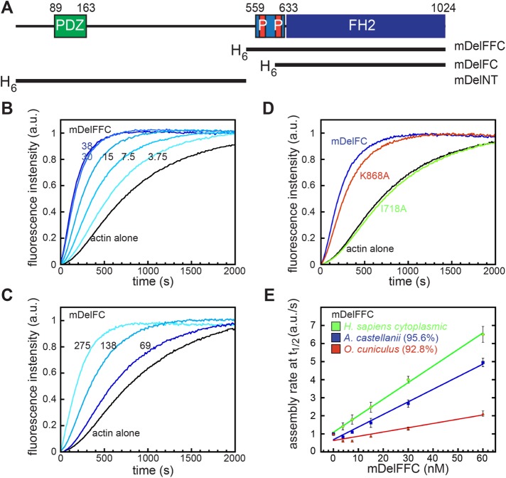 FIGURE 1: