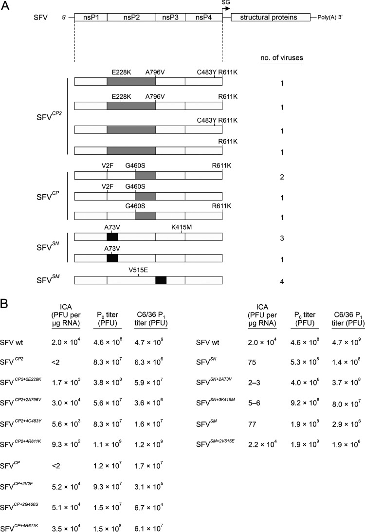 FIG 2