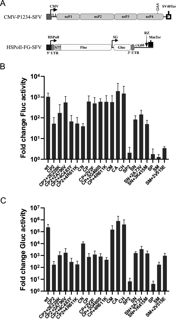 FIG 6