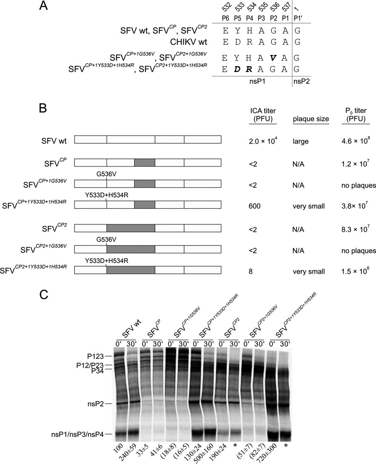 FIG 5