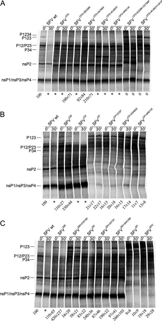 FIG 4