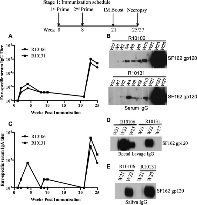 FIG 1