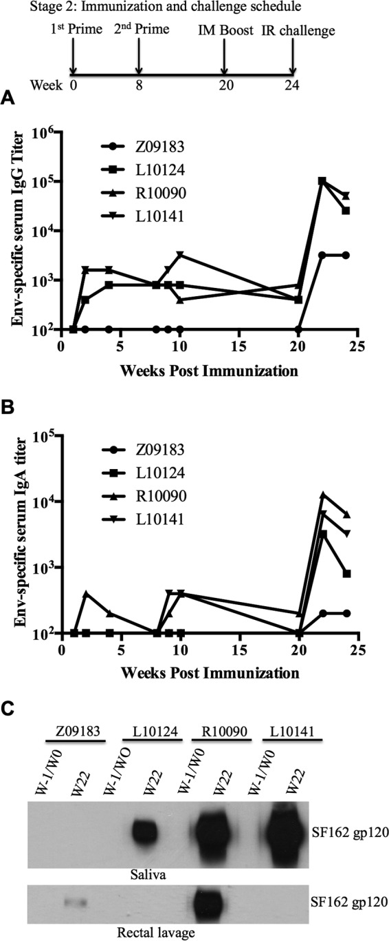 FIG 2