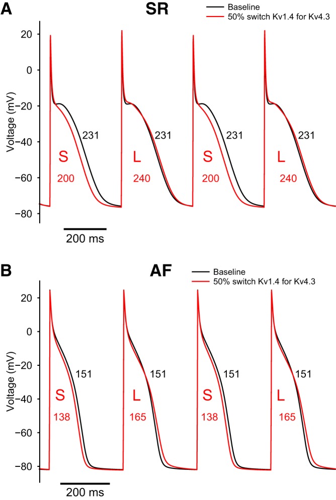 Fig. 9.