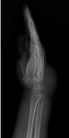 FIGURE 1: