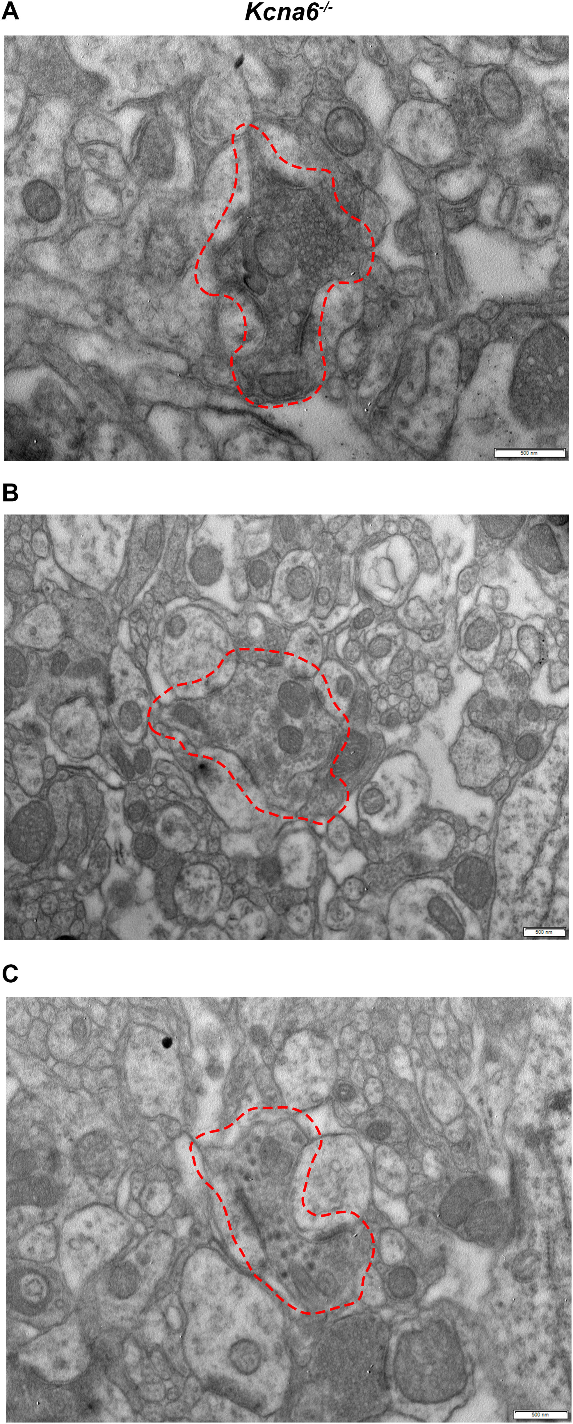 Figure 13.