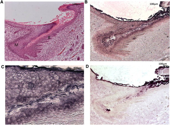 Figure 3