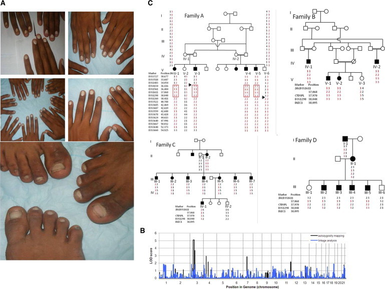 Figure 1