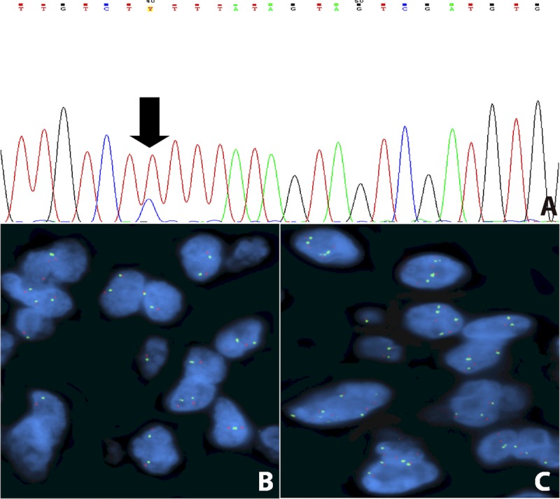 FIGURE 3