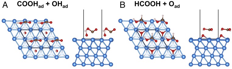 Fig. S7.