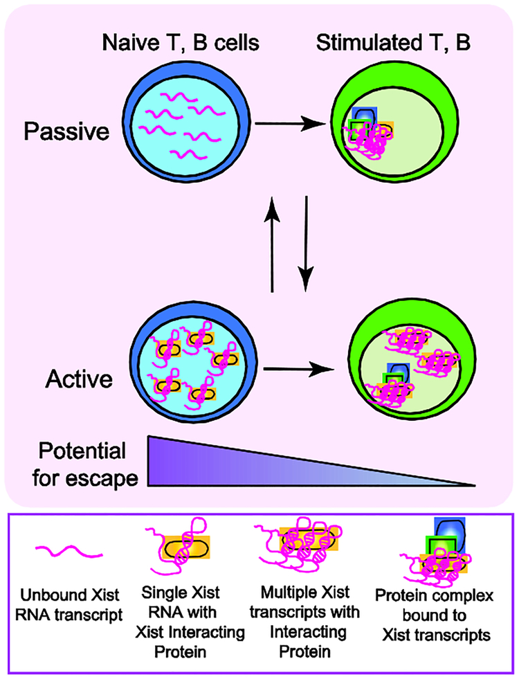 Figure 2: