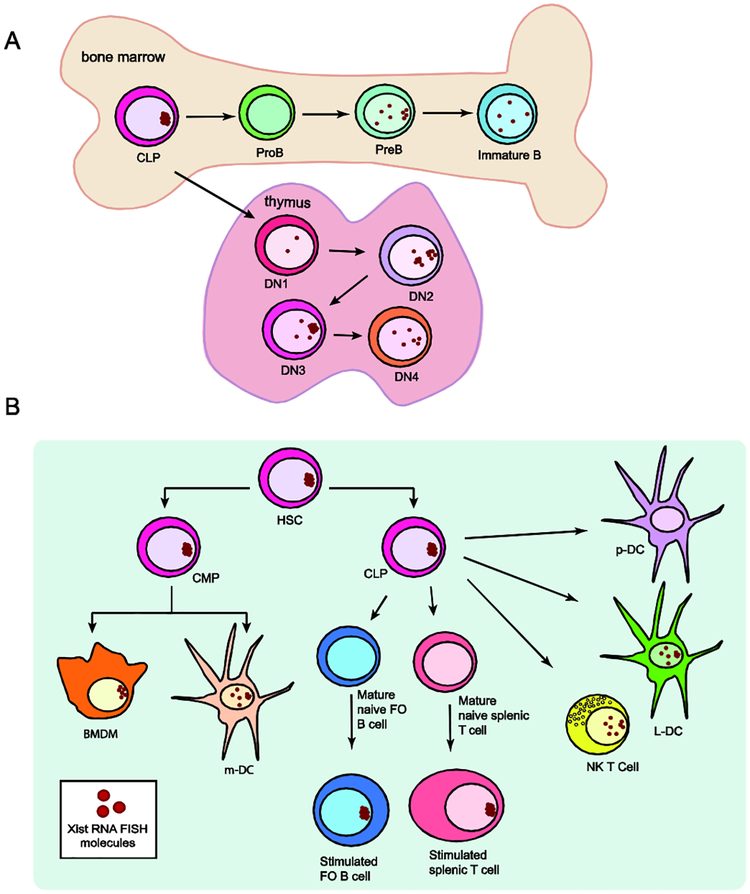 Figure 1: