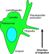 Figure 5