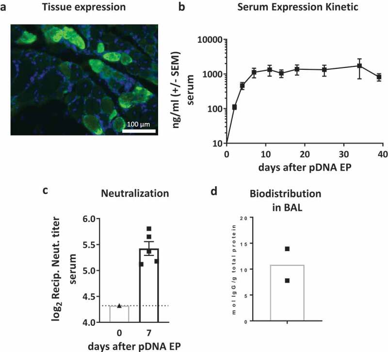 Figure 4.