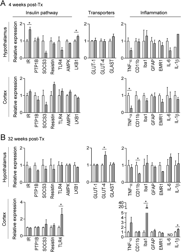 Figure 6