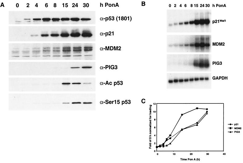 FIG. 8