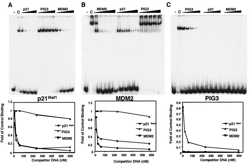 FIG. 6