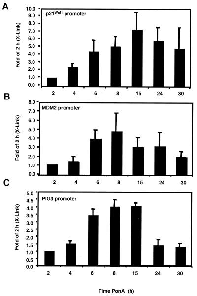 FIG. 9