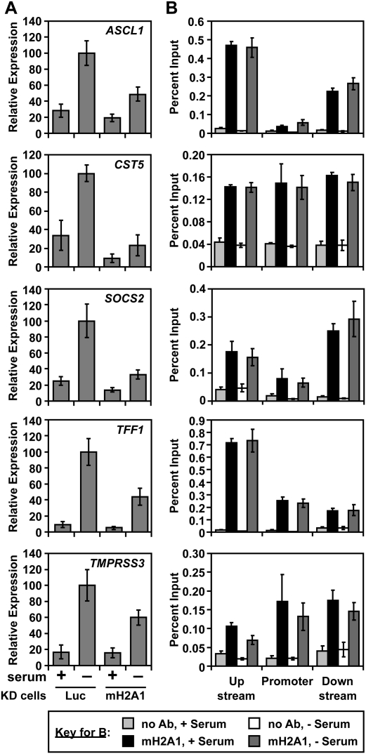 Figure 7.