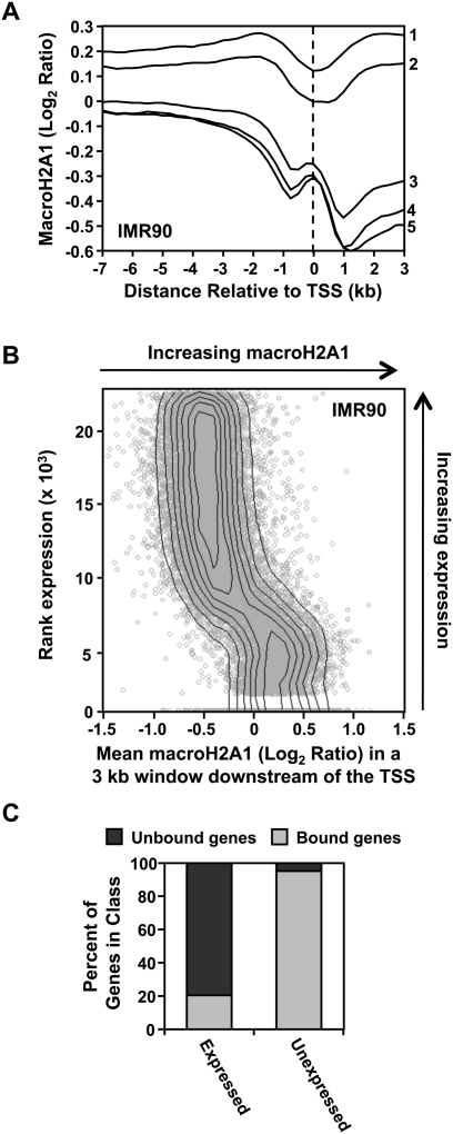 Figure 5.