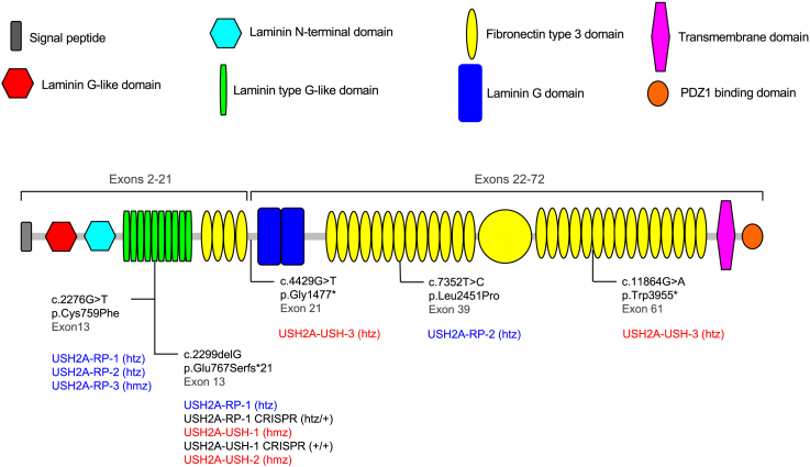 Figure 1