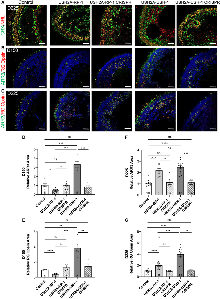 Figure 6