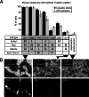 Fig 8