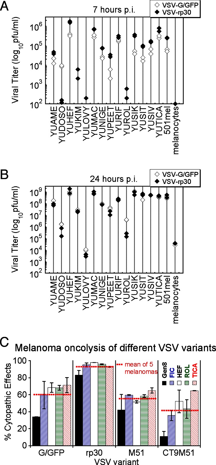 Fig 5