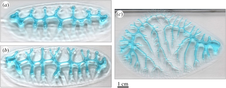 Figure 10.