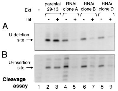 FIG. 5.