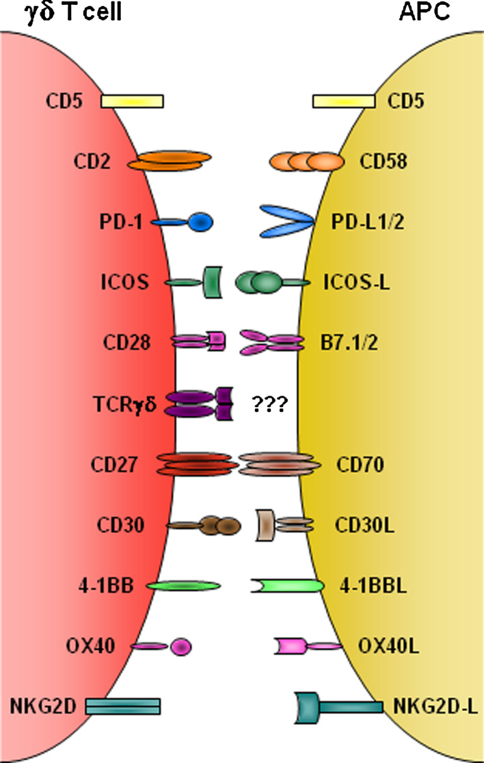 Fig. 2
