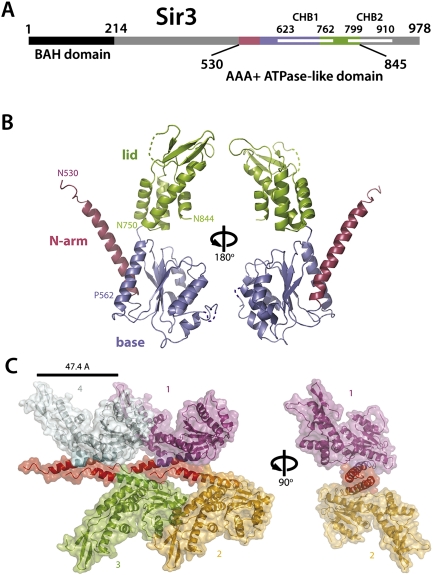 Figure 1.