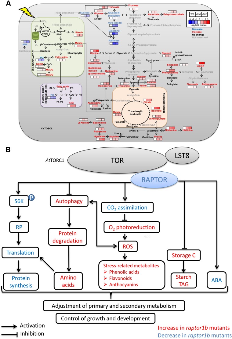 Figure 12.