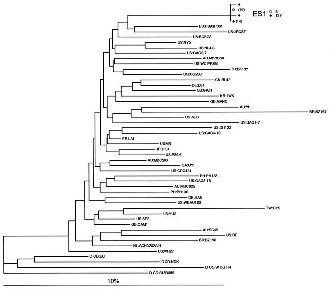 FIG. 5.