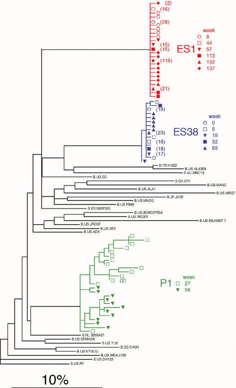 FIG. 4.