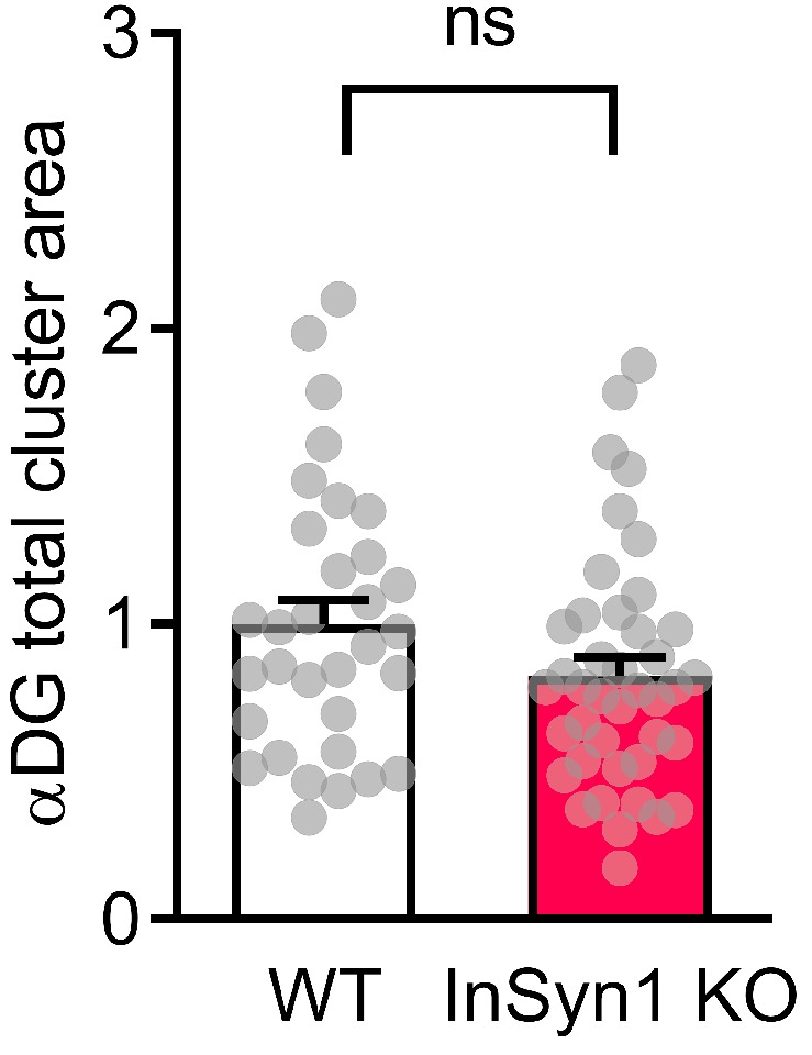 Figure 4—figure supplement 1.