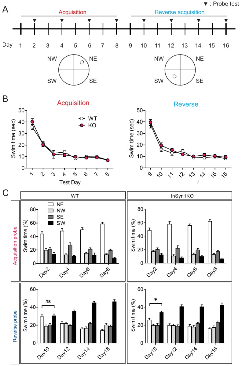 Figure 6—figure supplement 5.