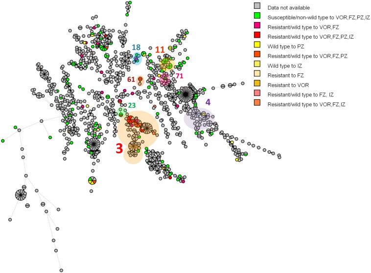 FIGURE 2