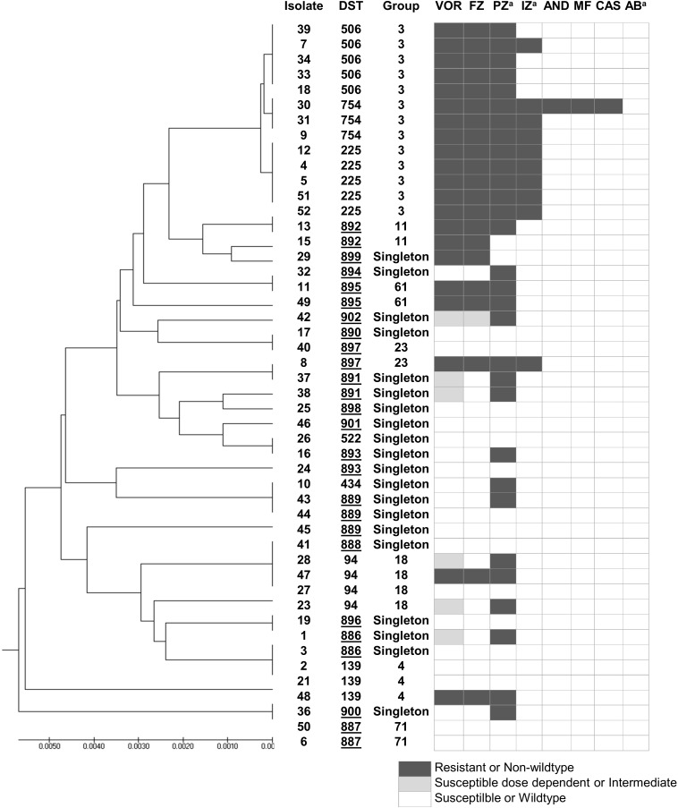 FIGURE 1