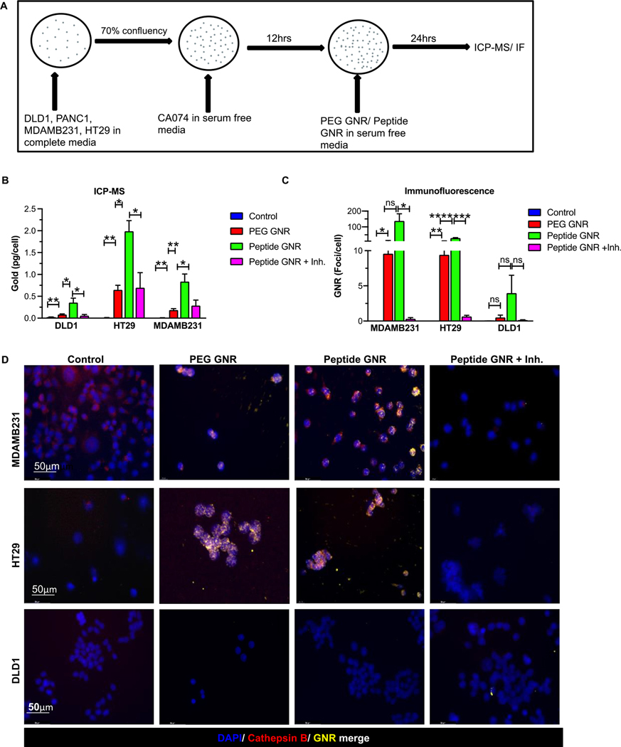 Figure 4: