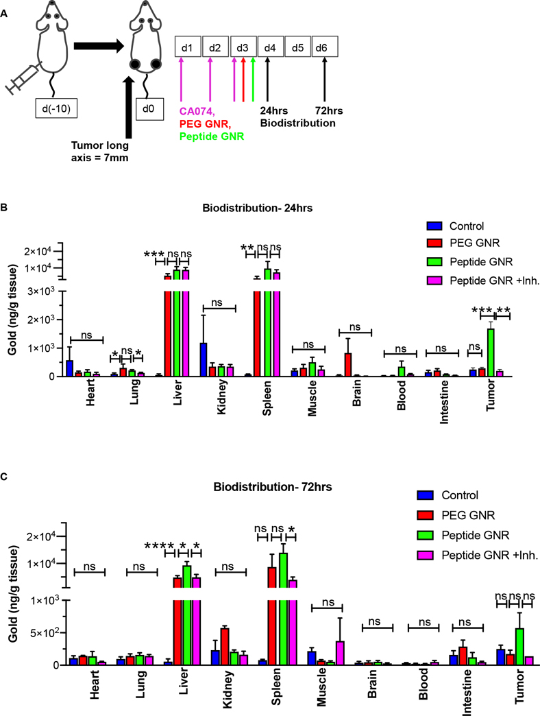 Figure 6: