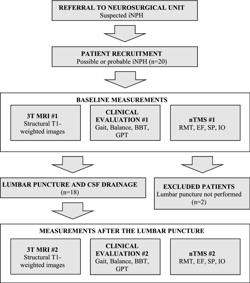 Fig. 1