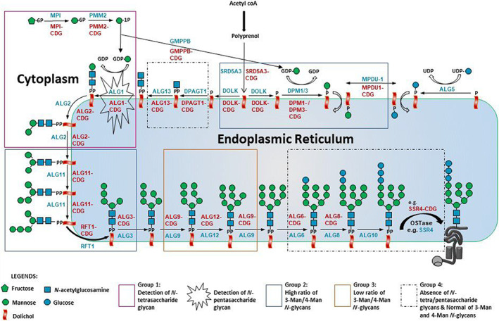 FIGURE 4