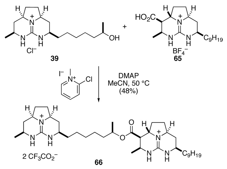 Scheme 13