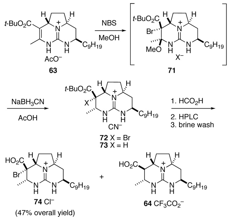 Scheme 15