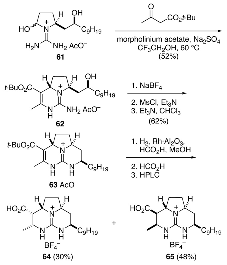 Scheme 12