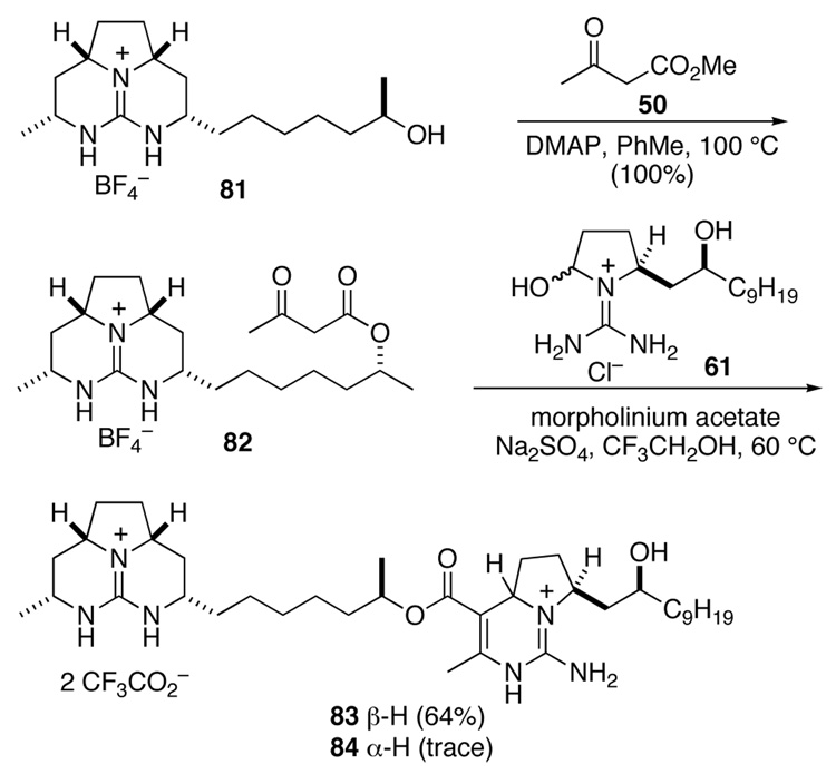 Scheme 18