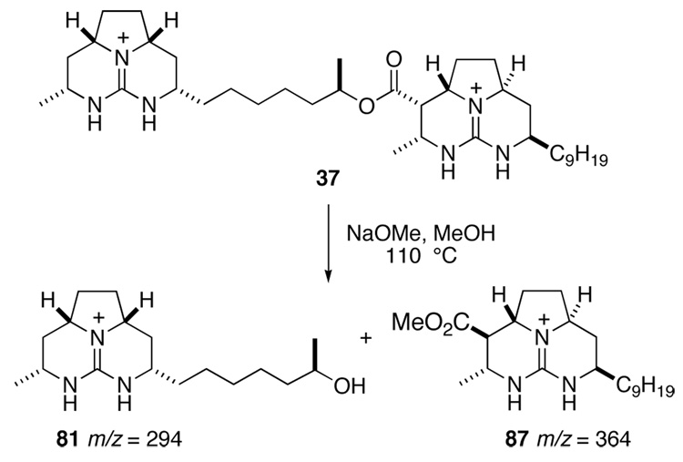 Scheme 20